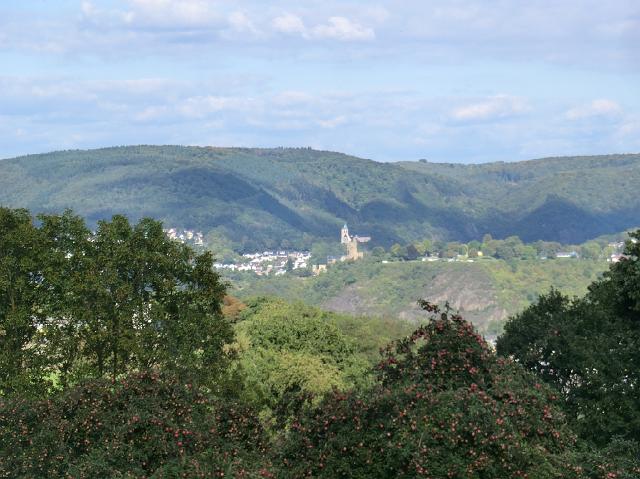33.JPG